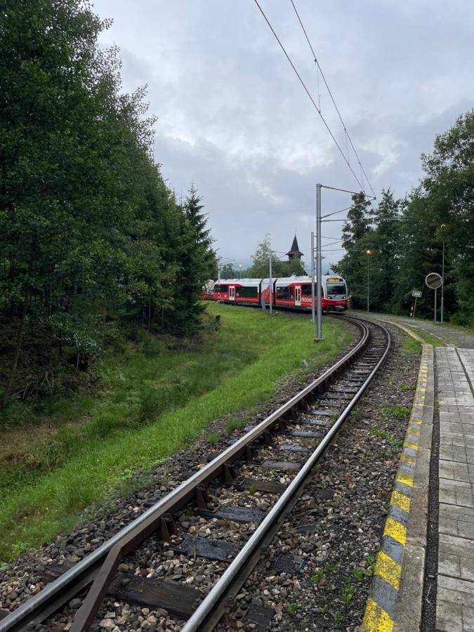 Vila Kollar Vysoké Tatry 外观 照片