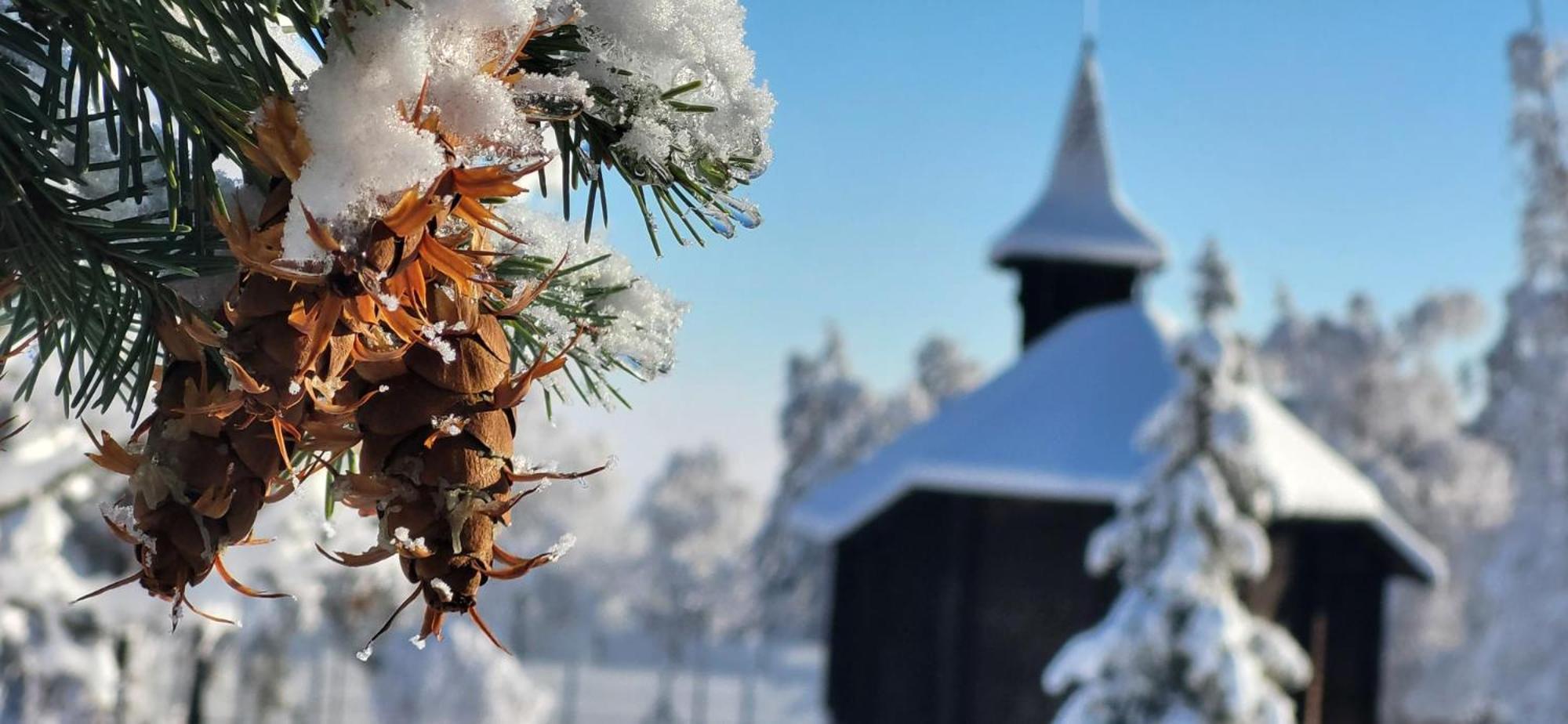 Vila Kollar Vysoké Tatry 外观 照片