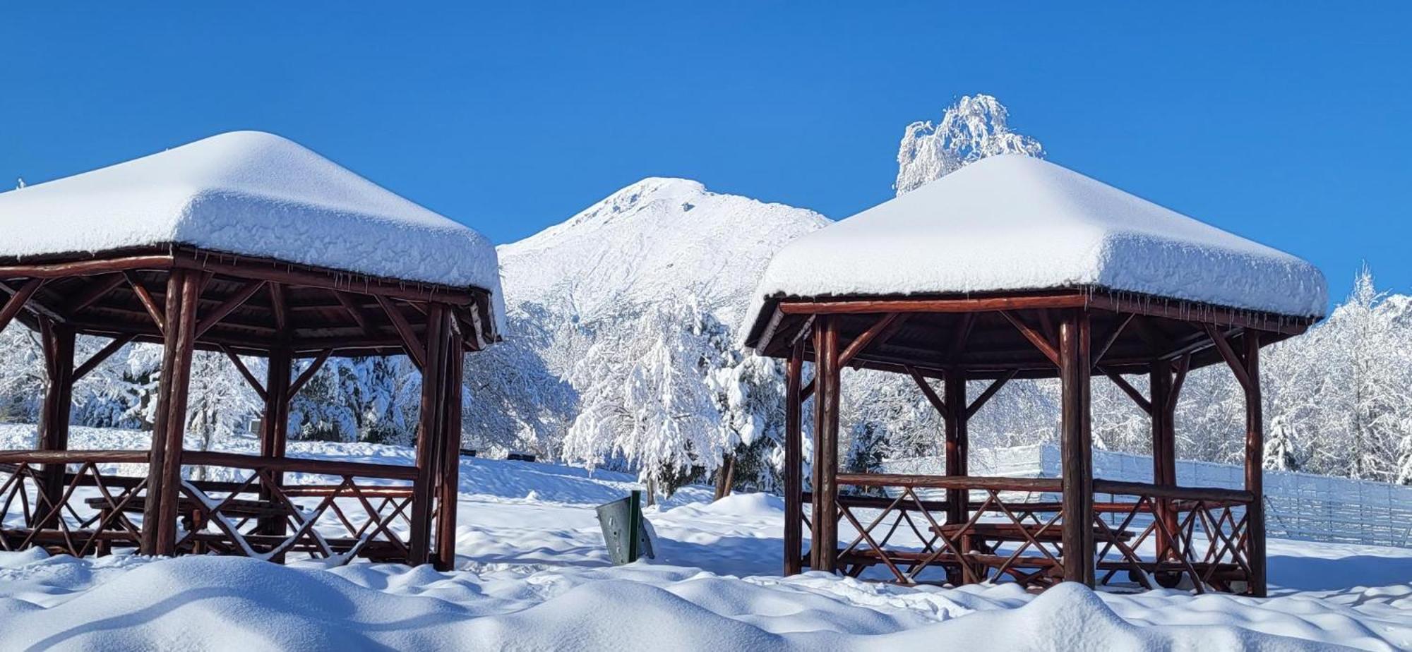 Vila Kollar Vysoké Tatry 外观 照片