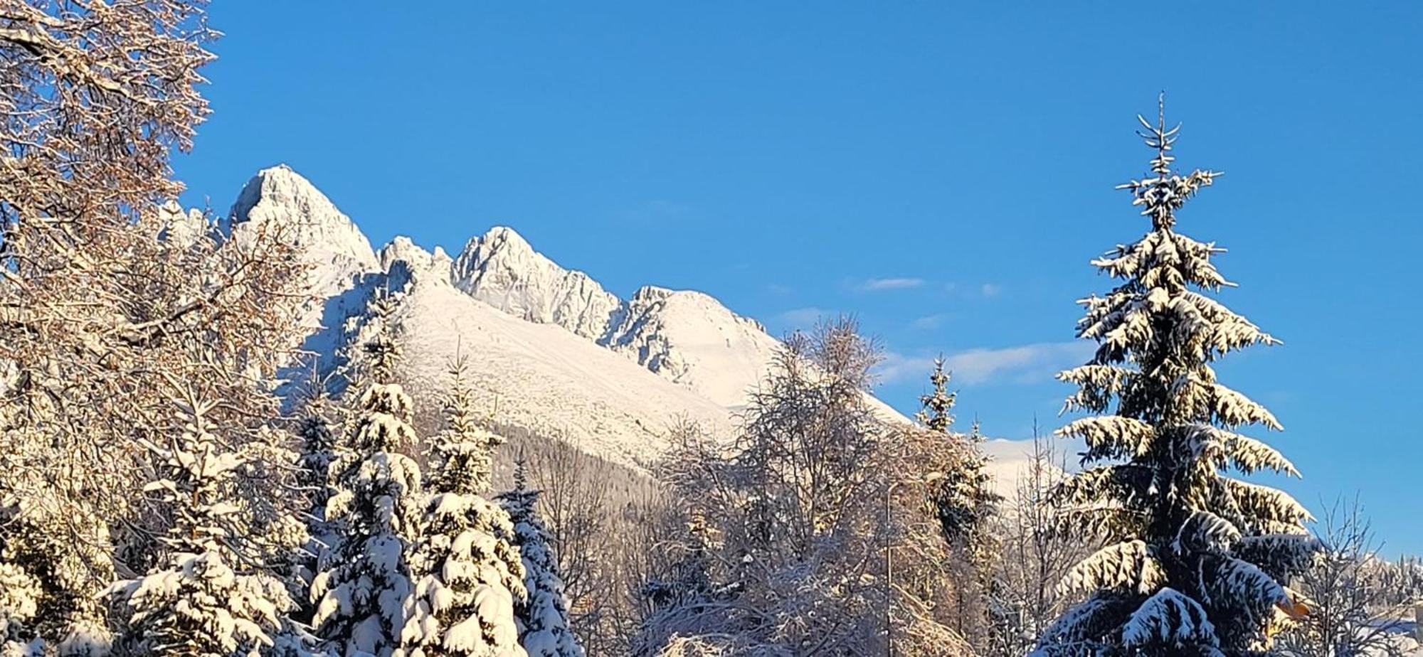 Vila Kollar Vysoké Tatry 外观 照片