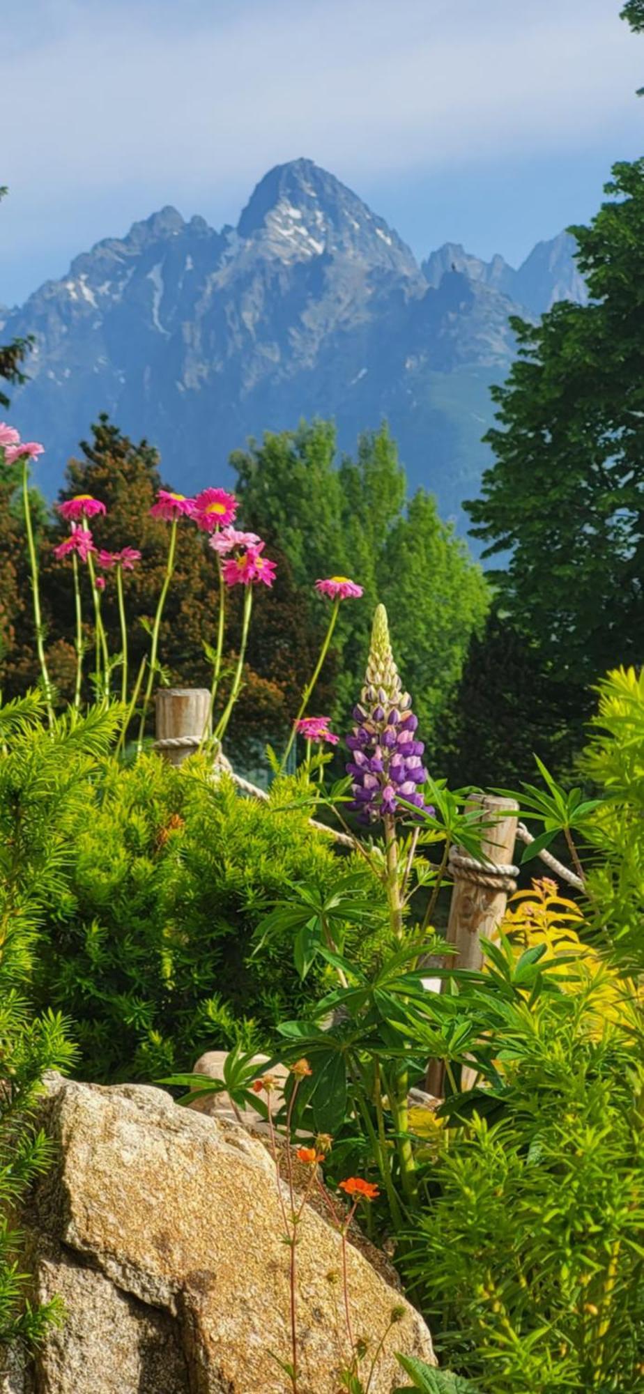 Vila Kollar Vysoké Tatry 客房 照片